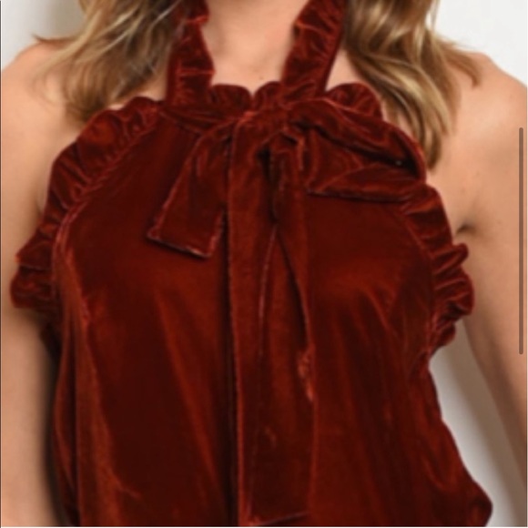 HOST PICK 💕Velvet Open-Back Halter Jumpsuit 🦋 - Picture 4 of 4